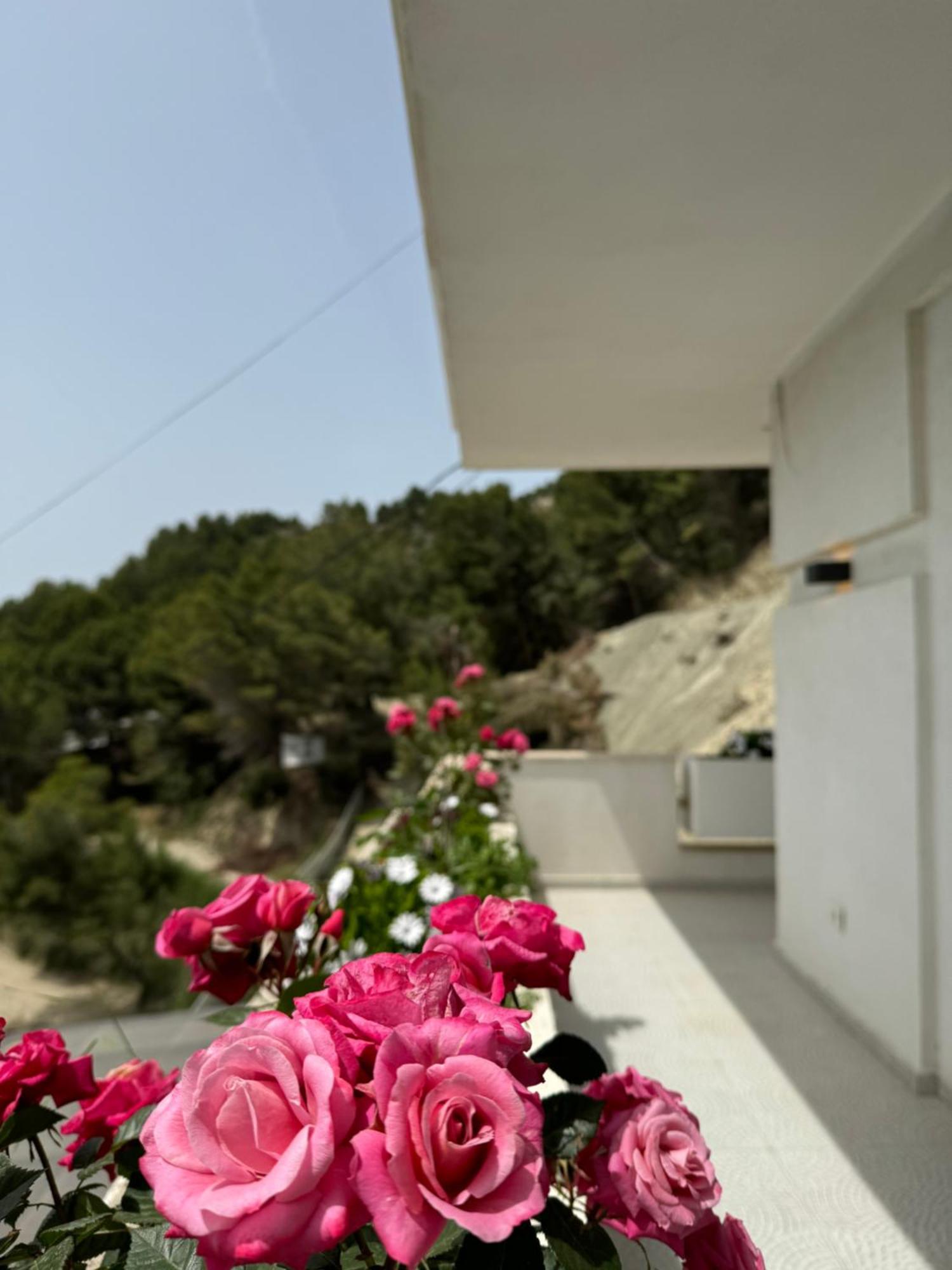 Villa D Hotel-Restaurant-Private Beach Durrës Extérieur photo